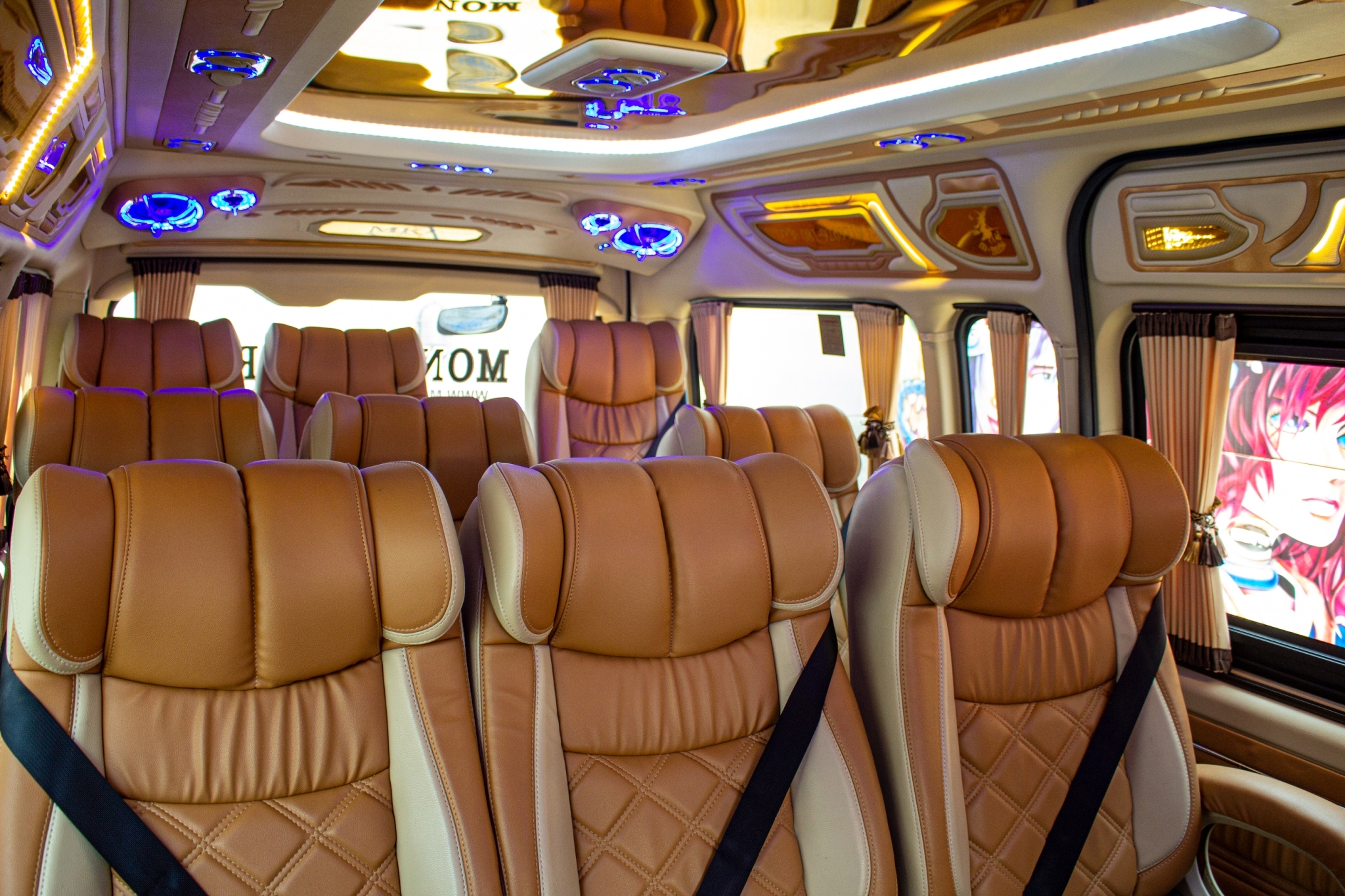 VIP van interior comfort
